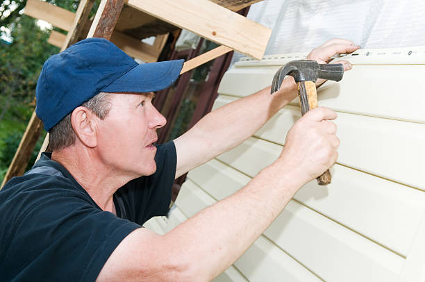 Best Stone Veneer Siding  in Gulf Shores, AL