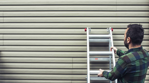 Best Steel Siding Installation  in Gulf Shores, AL