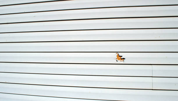 Best Residential Vinyl Siding Installation  in Gulf Shores, AL
