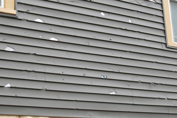 Best Custom Siding Design  in Gulf Shores, AL